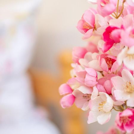 Guesthouse Rose Сараево Екстериор снимка