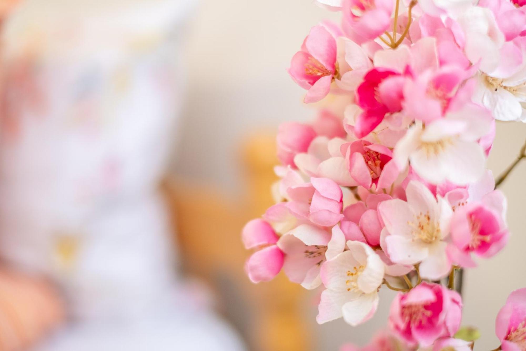 Guesthouse Rose Сараево Екстериор снимка