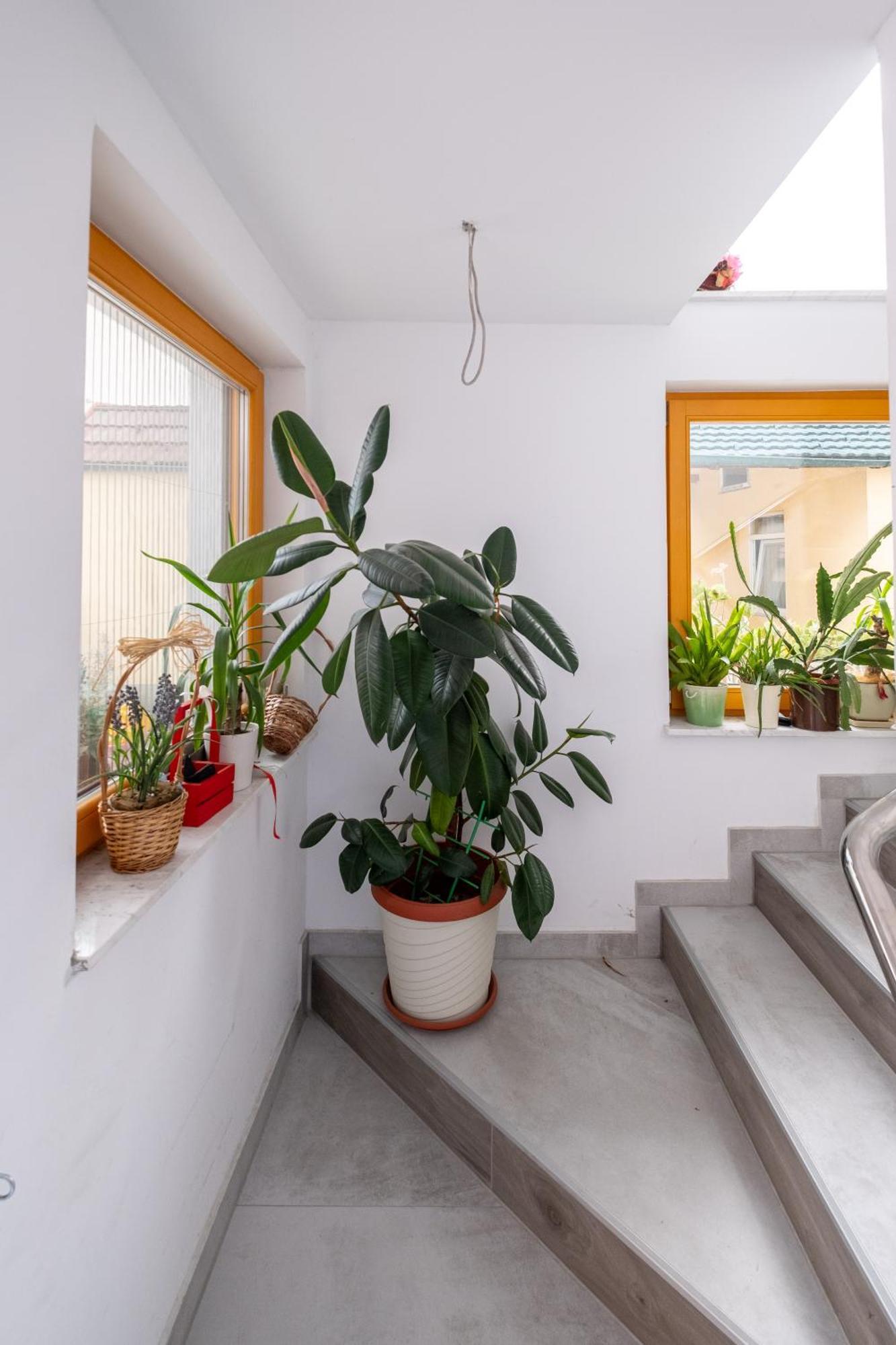 Guesthouse Rose Сараево Екстериор снимка